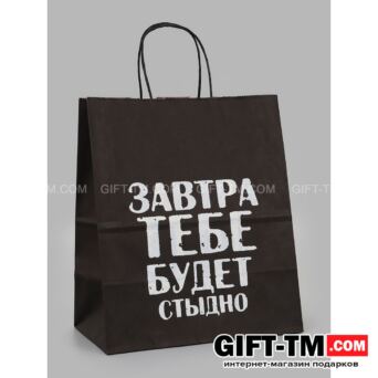 Пакет подарочный «Завтра тебе будет стыдно» 24×14×28 см крафт
