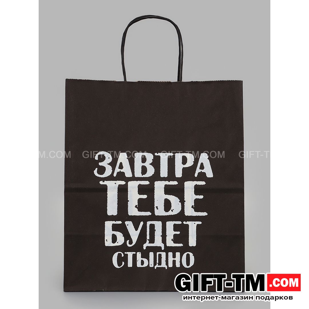 Пакет подарочный «Завтра тебе будет стыдно» 24×14×28 см крафт