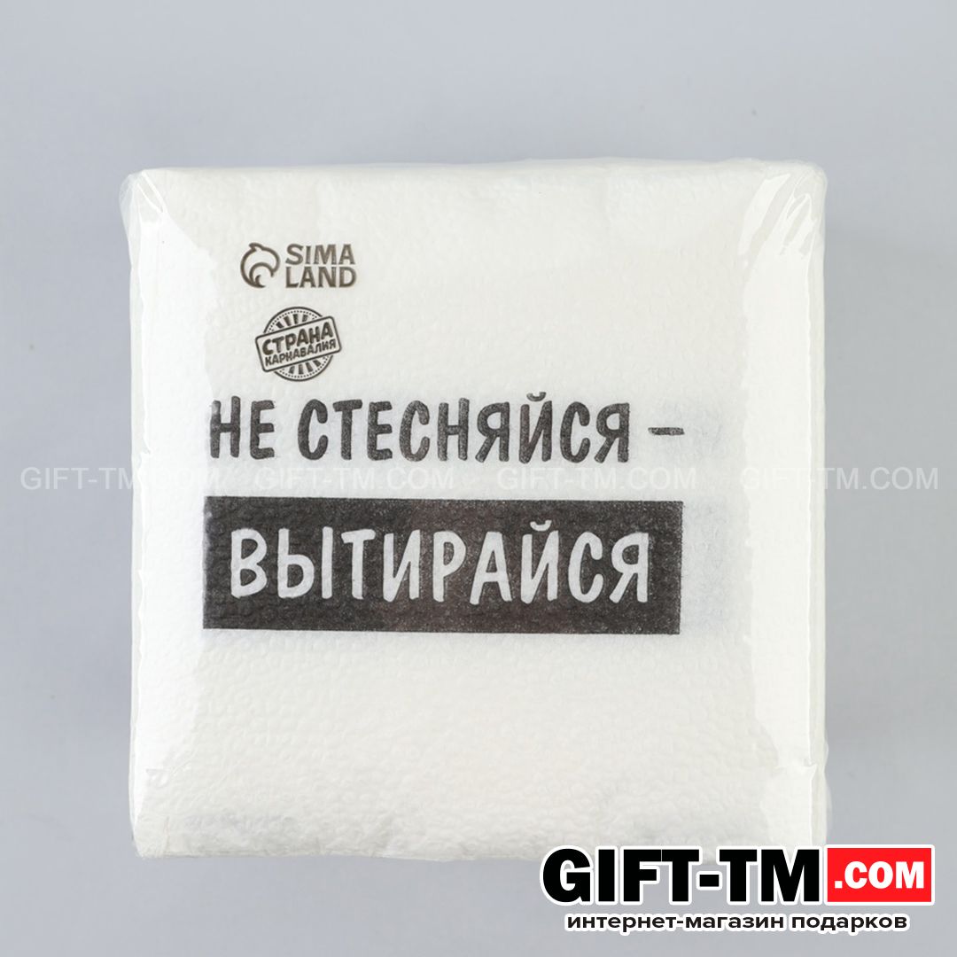 Салфетки бумажные «Не стесняйся-вытирайся» 24×24 см набор 100 шт.