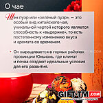 Подарочный набор чая «Жемчужина Дракона» — изображение 4