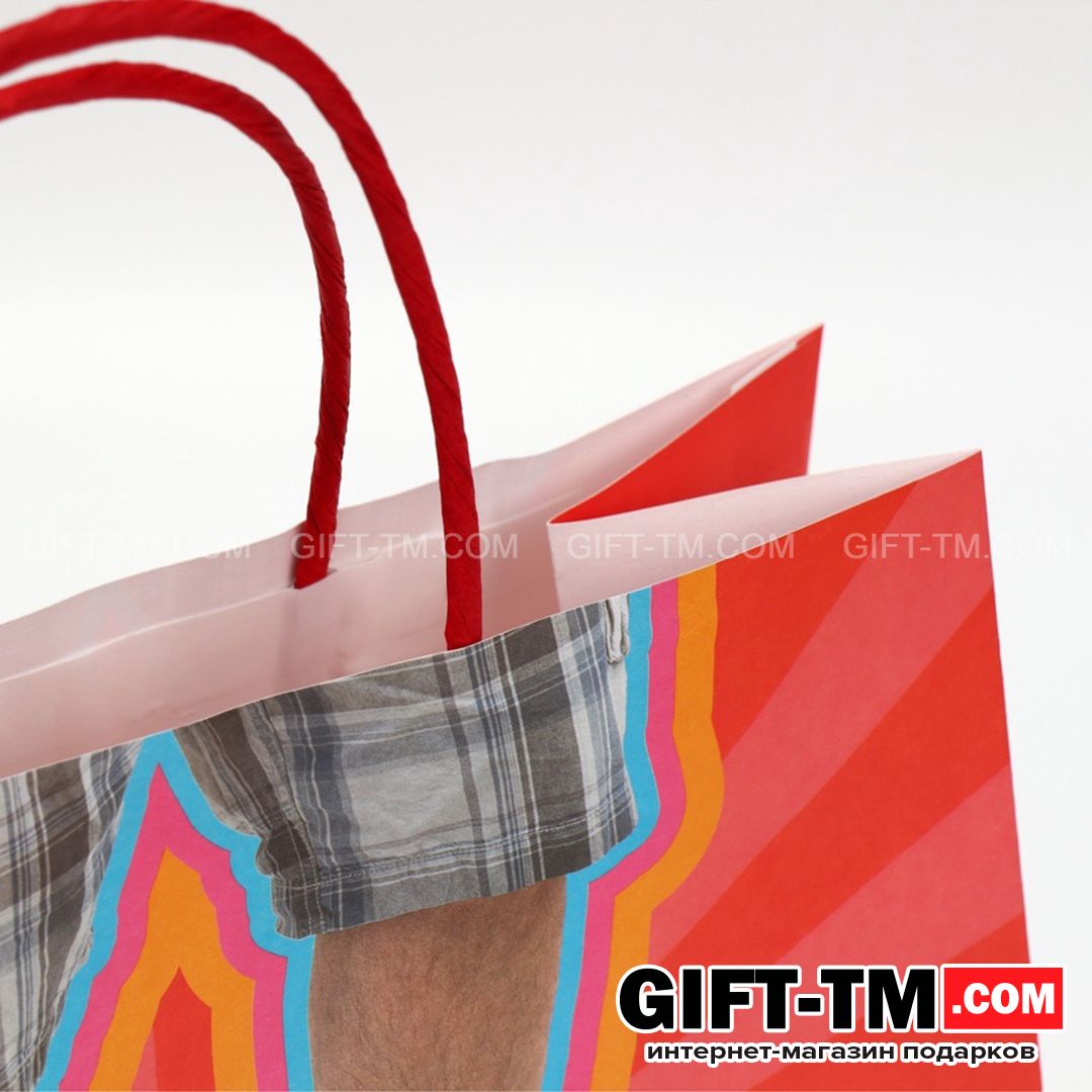 sn01110_4 Пакет подарочный «Герой», 22×22×11 см — изображение 5