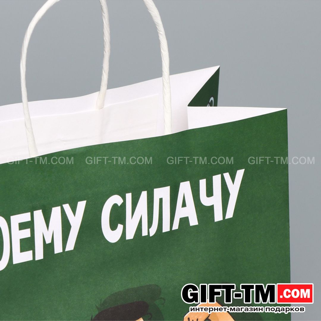 sn01114_3 Пакет подарочный «Моему Силачу», 22×22×11 см — изображение 4