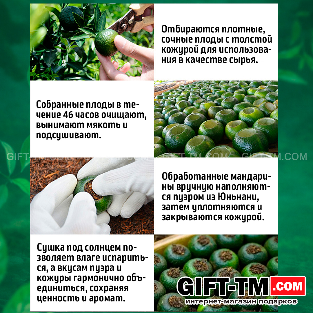 sn01287_4 Подарочный набор элитного китайского чая пуэр в мандарине «Исполнение желаний» — изображение 5